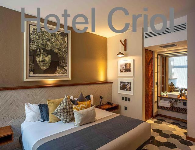 Hotel Criol ケレタロ エクステリア 写真