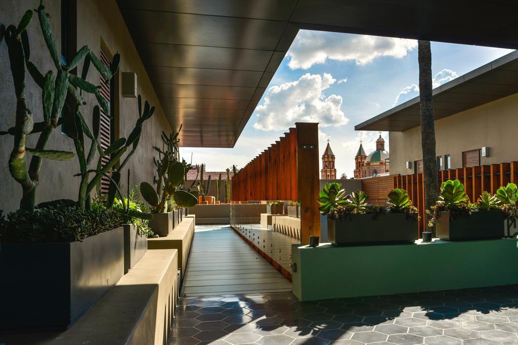 Hotel Criol ケレタロ エクステリア 写真 The rooftop garden